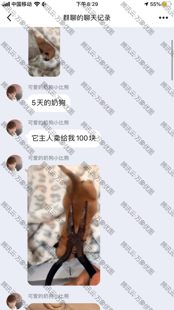 关于传出有关虐狗聊天记录的事情 https://cdn-imfurry.imfurry.com/wordpress-furry/2020/08/0F84427C-1CB3-498C-9F2F-EB5B27B16C11-576x1024.png?watermark/2/text/6IW-6K6v5LqRwrfkuIfosaHkvJjlm74/fill/IzNEM0QzRA/fontsize/20/dissolve/50/gravity/northeast/dx/20/dy/20/batch/1/degree/45