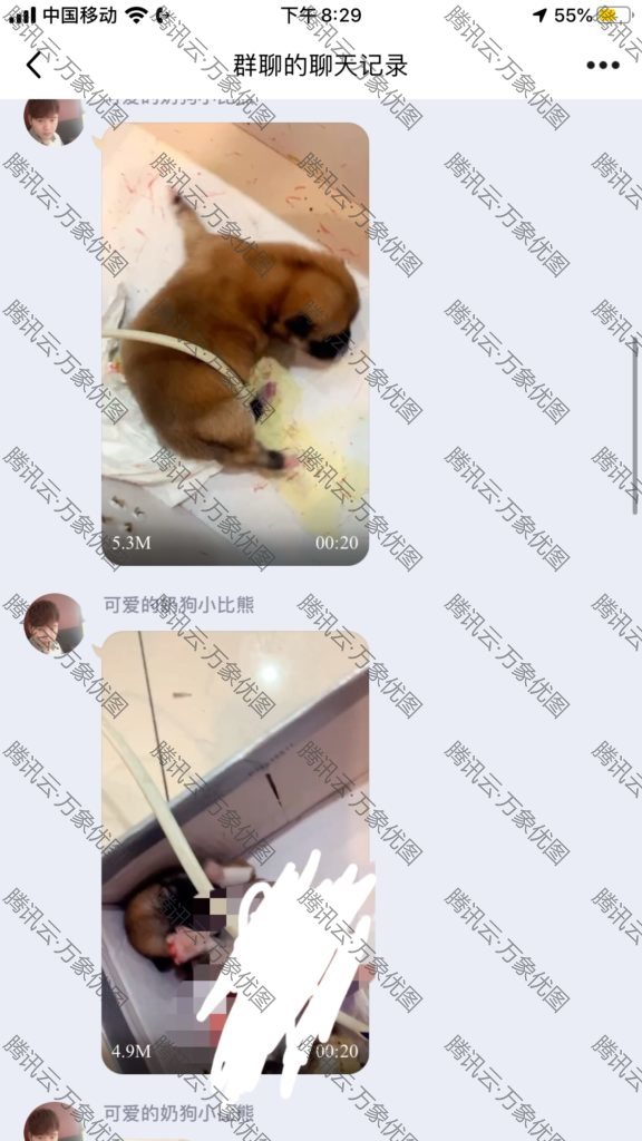 关于传出有关虐狗聊天记录的事情 https://cdn-imfurry.imfurry.com/wordpress-furry/2020/08/1AB12492-DB21-4A70-9996-8CCC5D6AE798-576x1024.jpeg?watermark/2/text/6IW-6K6v5LqRwrfkuIfosaHkvJjlm74/fill/IzNEM0QzRA/fontsize/20/dissolve/50/gravity/northeast/dx/20/dy/20/batch/1/degree/45