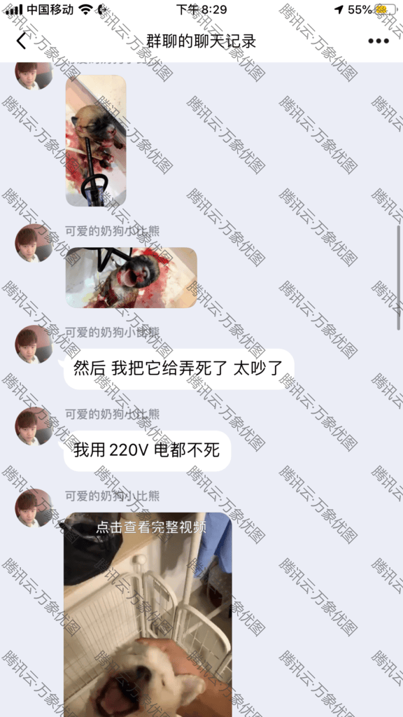 关于传出有关虐狗聊天记录的事情 https://cdn-imfurry.imfurry.com/wordpress-furry/2020/08/E0019A80-5228-4674-AD48-5AB01A2B44BE-576x1024.png?watermark/2/text/6IW-6K6v5LqRwrfkuIfosaHkvJjlm74/fill/IzNEM0QzRA/fontsize/20/dissolve/50/gravity/northeast/dx/20/dy/20/batch/1/degree/45