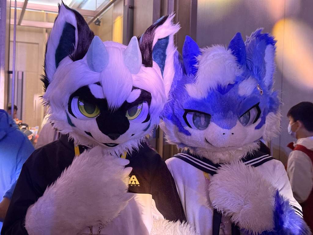 https://cdn-imfurry.imfurry.com/wordpress-furry/2026/06/5BE8ECAA-2EBA-4A4E-BC01-78A5490AC210_1_105_c.jpeg?watermark/2/text/6IW-6K6v5LqRwrfkuIfosaHkvJjlm74/fill/IzNEM0QzRA/fontsize/20/dissolve/50/gravity/northeast/dx/20/dy/20/batch/1/degree/45