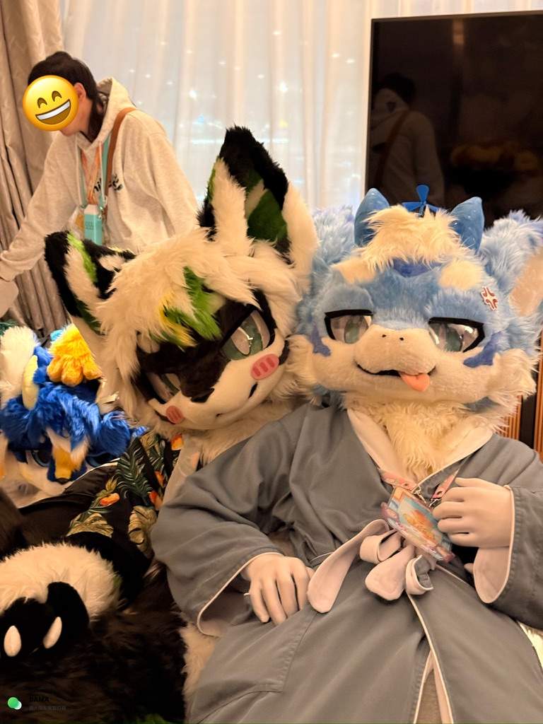 https://cdn-imfurry.imfurry.com/wordpress-furry/2026/06/627C0C4D-8F49-4D9F-9F08-85608AD9DA1F_1_105_c.jpeg?watermark/2/text/6IW-6K6v5LqRwrfkuIfosaHkvJjlm74/fill/IzNEM0QzRA/fontsize/20/dissolve/50/gravity/northeast/dx/20/dy/20/batch/1/degree/45