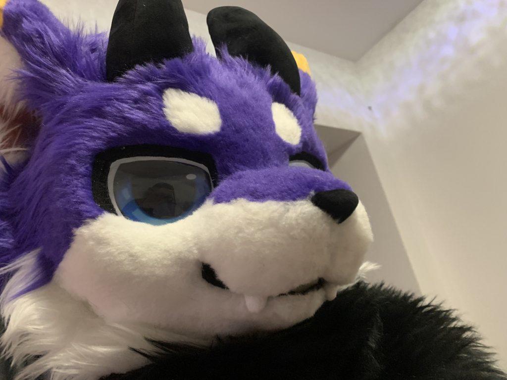 https://cdn-imfurry.imfurry.com/wordpress-furry/2026/06/IMG_9819-1024x768.jpeg?watermark/2/text/6IW-6K6v5LqRwrfkuIfosaHkvJjlm74/fill/IzNEM0QzRA/fontsize/20/dissolve/50/gravity/northeast/dx/20/dy/20/batch/1/degree/45